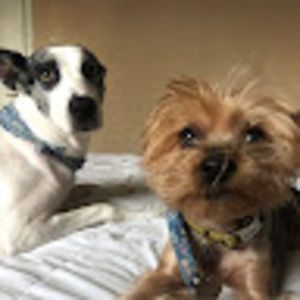 Meet your Posher, Eggzellent